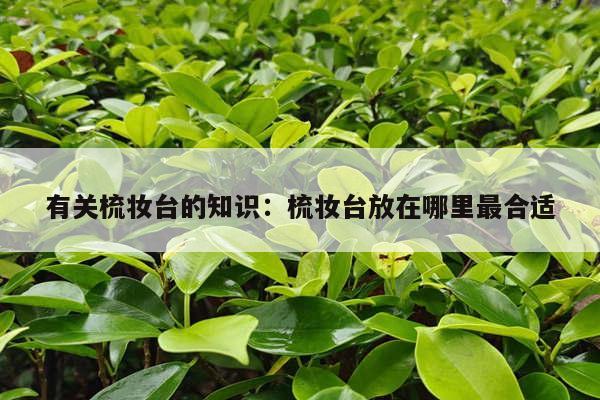 有关梳妆台的知识：梳妆台放在哪里最合适