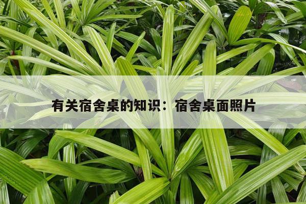 有关宿舍桌的知识：宿舍桌面照片
