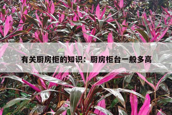 有关厨房柜的知识：厨房柜台一般多高