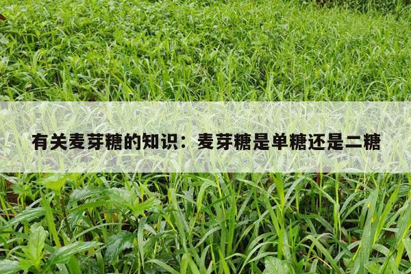 有关麦芽糖的知识：麦芽糖是单糖还是二糖