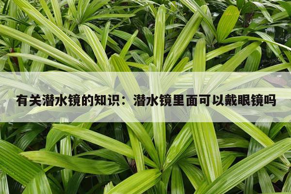 有关潜水镜的知识：潜水镜里面可以戴眼镜吗