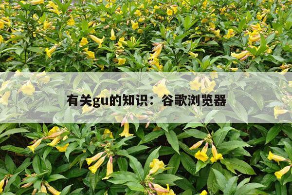 有关gu的知识：谷歌浏览器