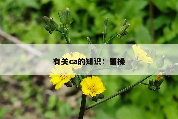 有关ca的知识：曹操