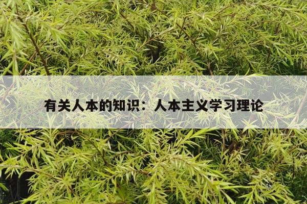 有关人本的知识：人本主义学习理论