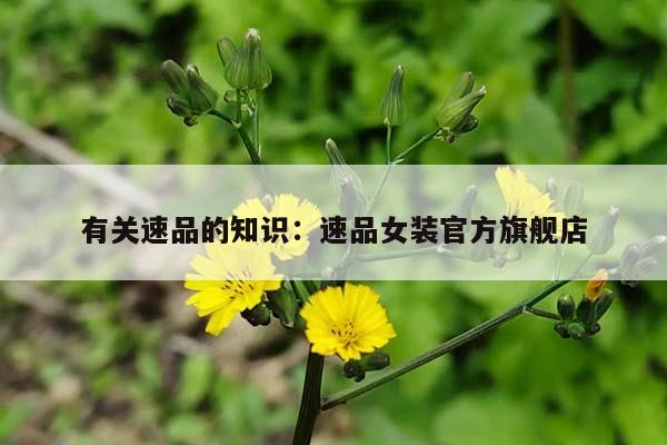 有关速品的知识：速品女装官方旗舰店