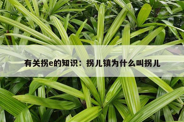 有关拐e的知识：拐儿镇为什么叫拐儿
