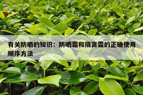 有关防晒的知识：防晒霜和隔离霜的正确使用顺序方法