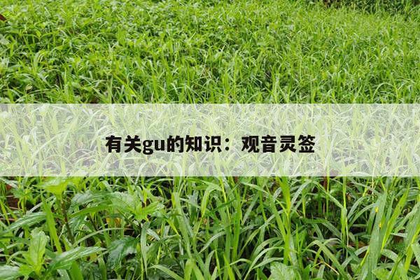 有关gu的知识：观音灵签