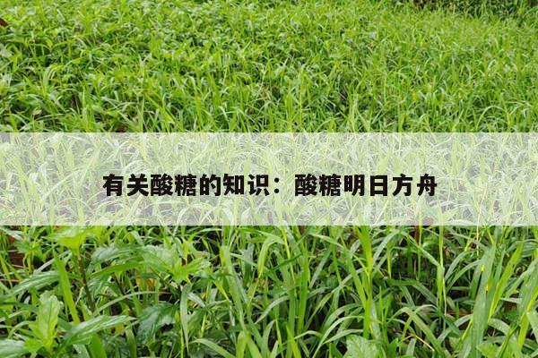 有关酸糖的知识：酸糖明日方舟