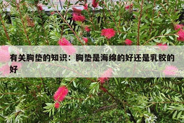 有关胸垫的知识：胸垫是海绵的好还是乳胶的好