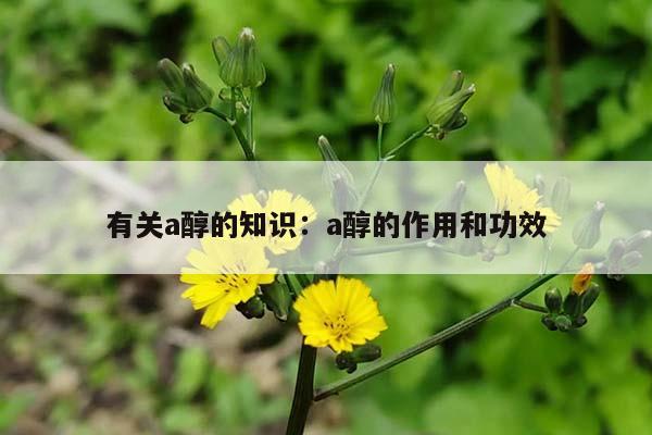 有关a醇的知识：a醇的作用和功效
