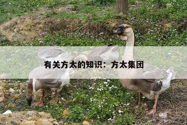 有关方太的知识：方太集团
