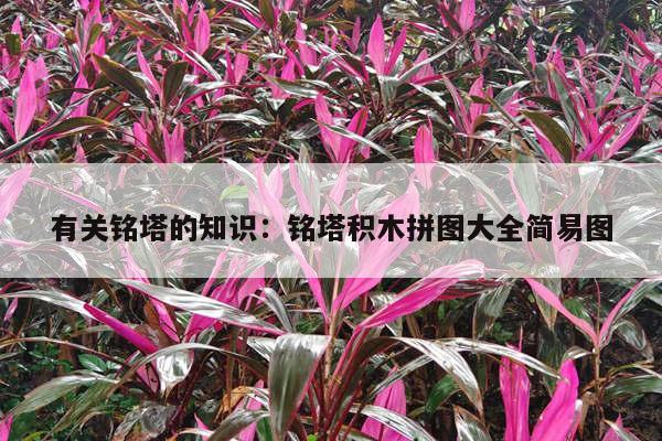 有关铭塔的知识：铭塔积木拼图大全简易图