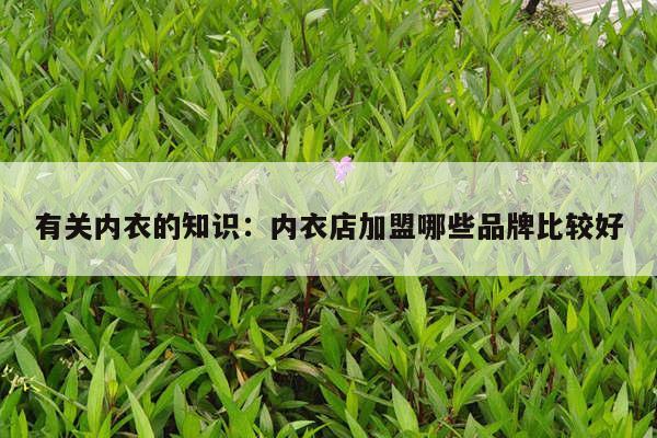 有关内衣的知识：内衣店加盟哪些品牌比较好
