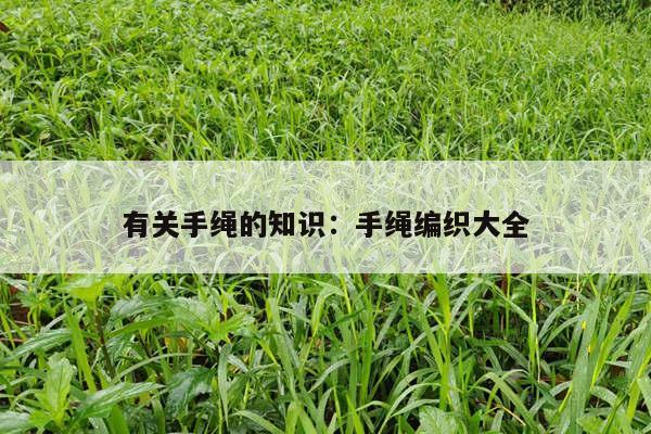 有关手绳的知识：手绳编织大全