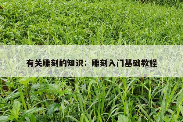 有关雕刻的知识：雕刻入门基础教程