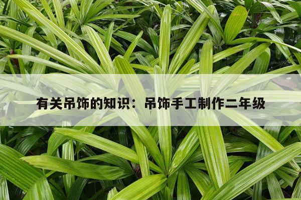 有关吊饰的知识：吊饰手工制作二年级