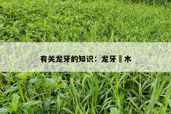 有关龙牙的知识：龙牙楤木