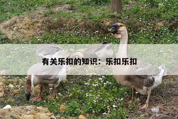 有关乐扣的知识：乐扣乐扣