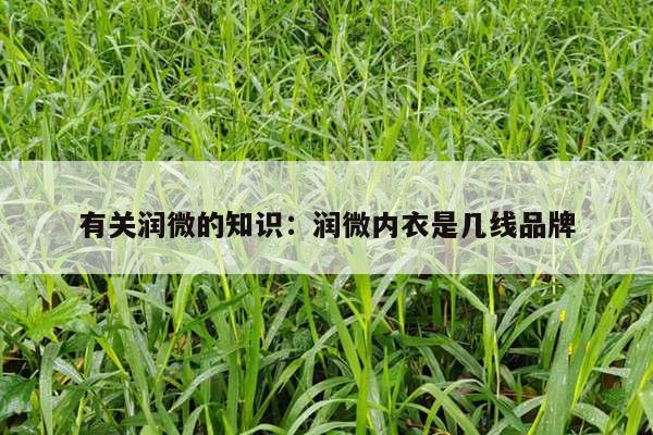有关润微的知识：润微内衣是几线品牌