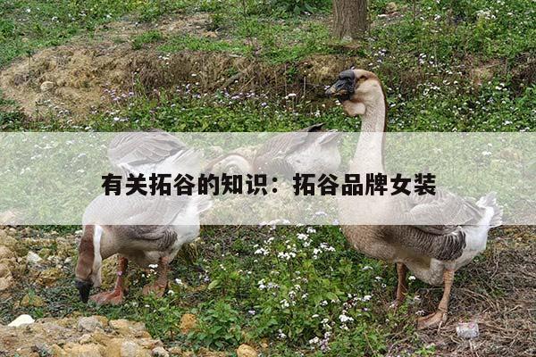 有关拓谷的知识：拓谷品牌女装