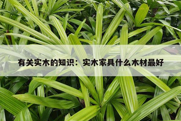 有关实木的知识：实木家具什么木材最好