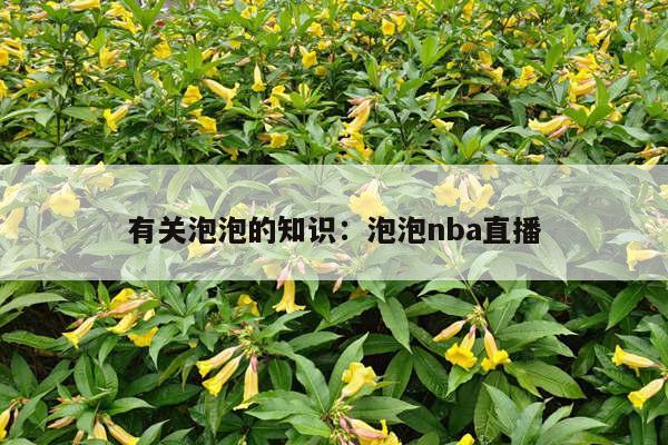 有关泡泡的知识：泡泡nba直播