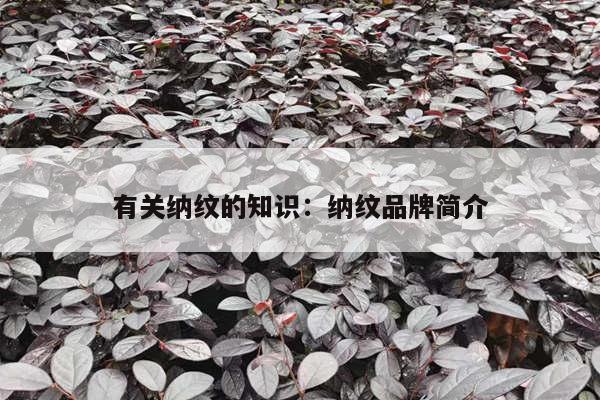 有关纳纹的知识：纳纹品牌简介
