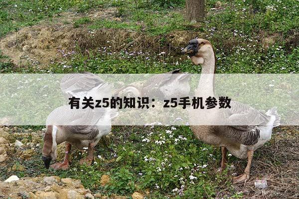 有关z5的知识：z5手机参数